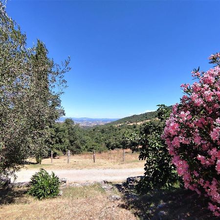 Holiday Home Casalini By Interhome Montorgiali Bagian luar foto