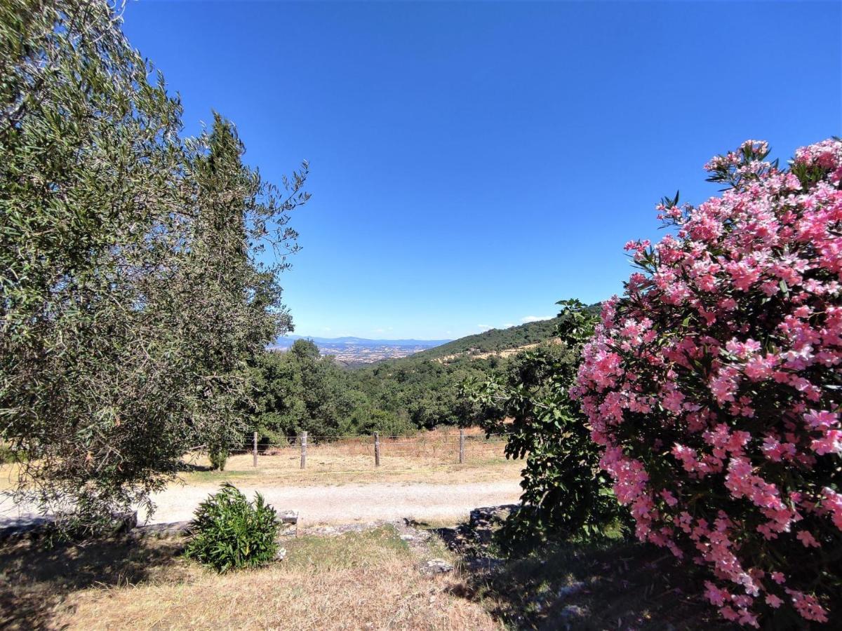 Holiday Home Casalini By Interhome Montorgiali Bagian luar foto